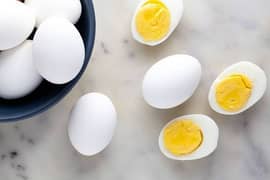 Eggs available on wholesale rate