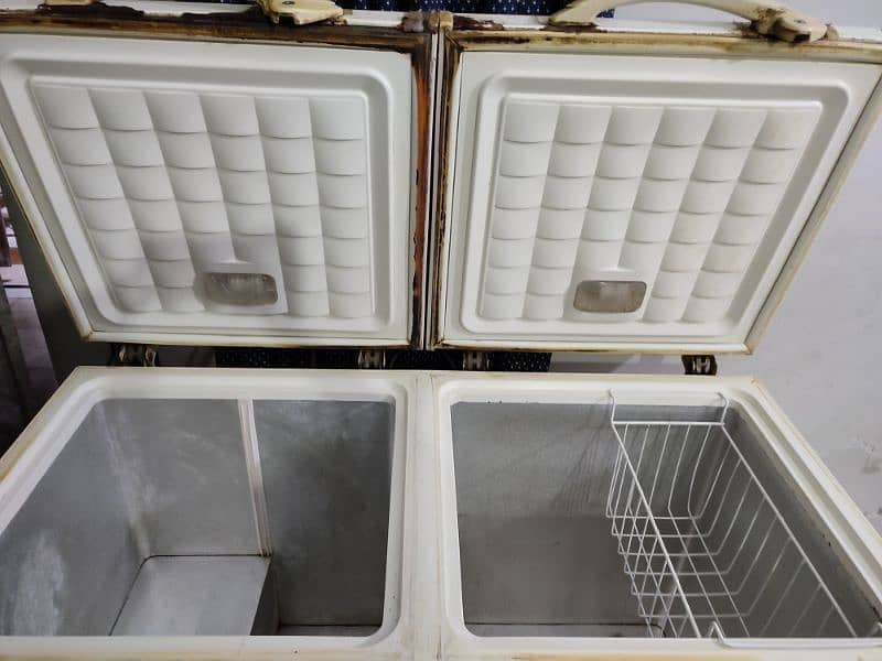 Double door freezer 1