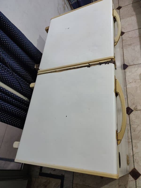 Double door freezer 4