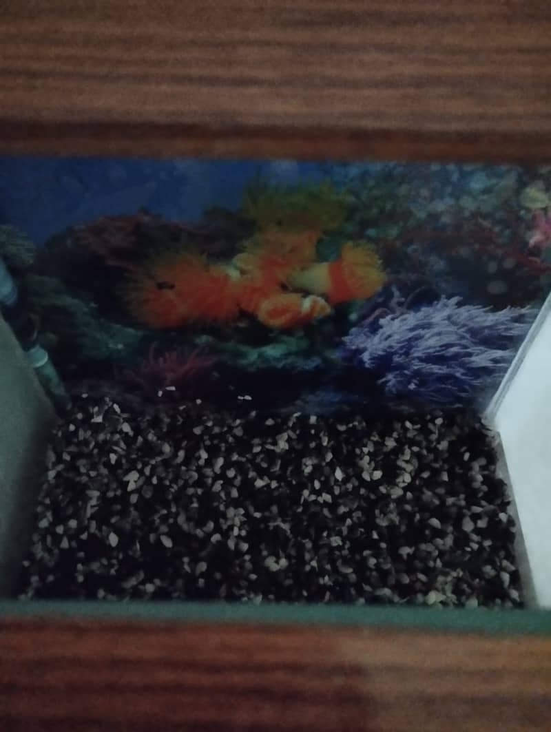 Aquarium for sale 2