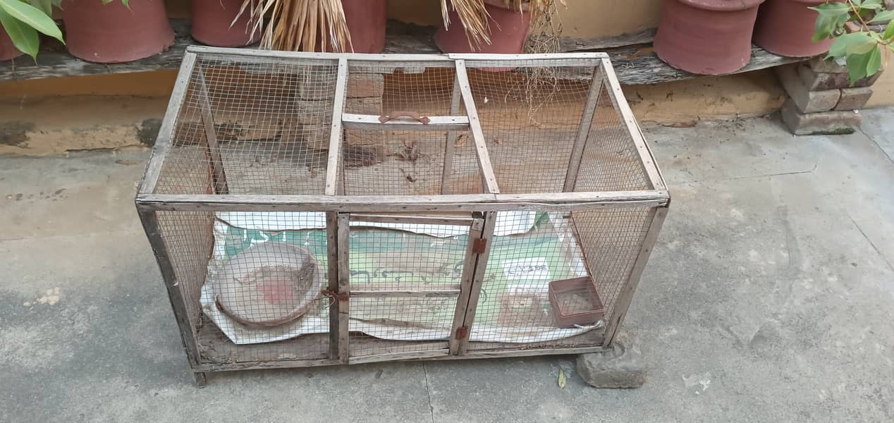 Hen Cage (murghiyo ka Pinjra) 1