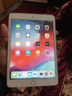 ipad mini 3