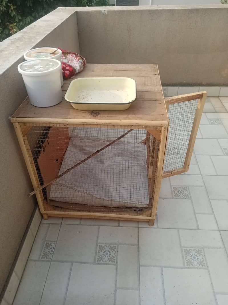 1 White Murga with 2ft Cage urgently sale 3