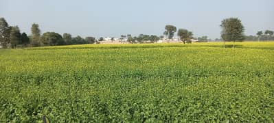 agriculture farm for sale