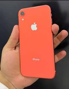 I phone Xr