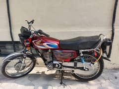 Honda 125, All punjab number