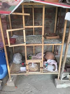 2 portion wooden cage