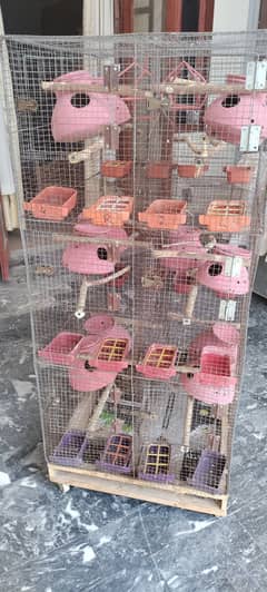 Budgies and Fischer Cage 12 Portion