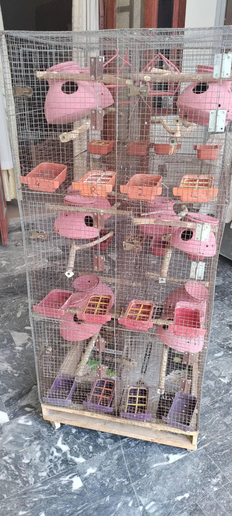 Budgies and Fischer Cage 12 Portion 0