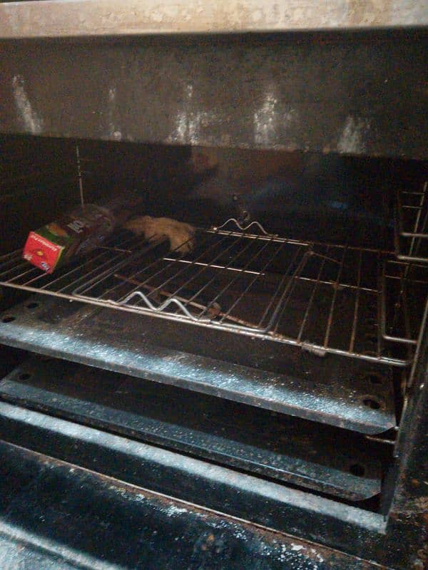 sky flame electric and gas oven 0