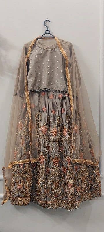 3 Piece lehnga choli with dupatta. 2