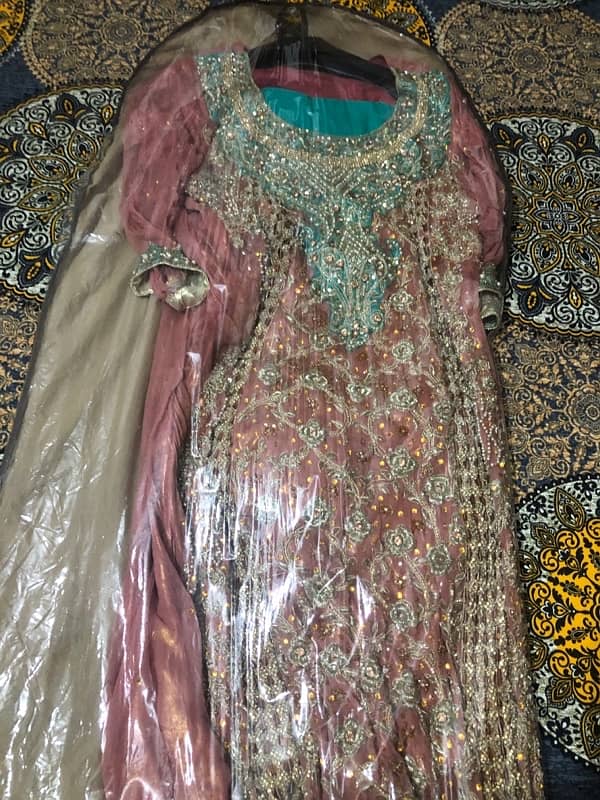 walima Maxi 1