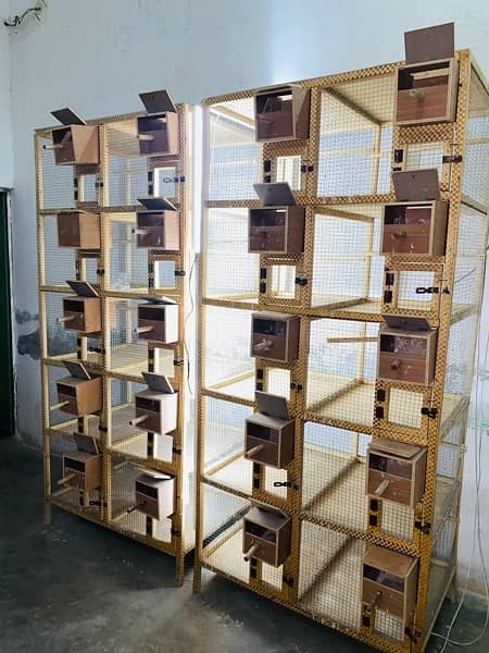 Kikkar cages , finch cages with boxes , pots 4