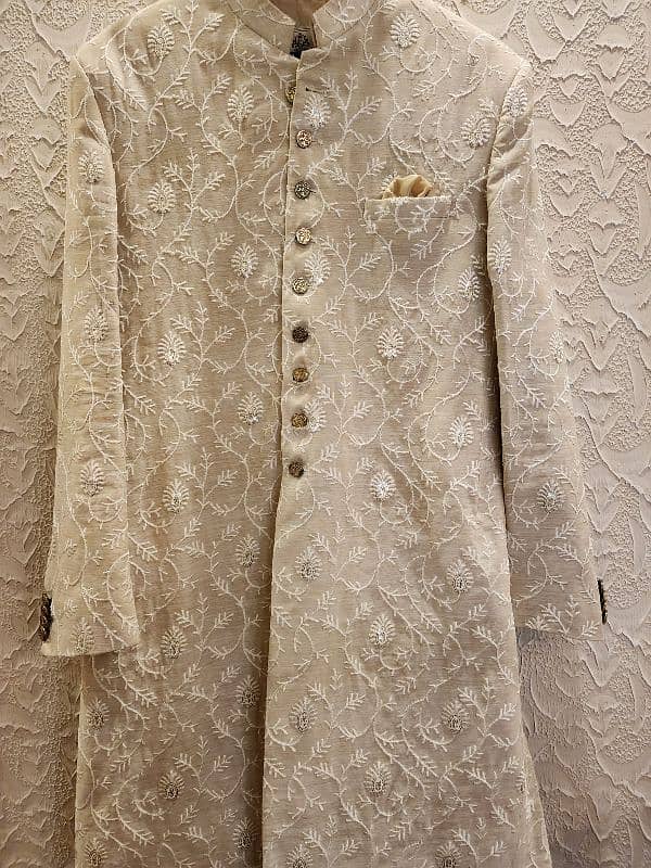 Amir Adnan original Sherwani 6