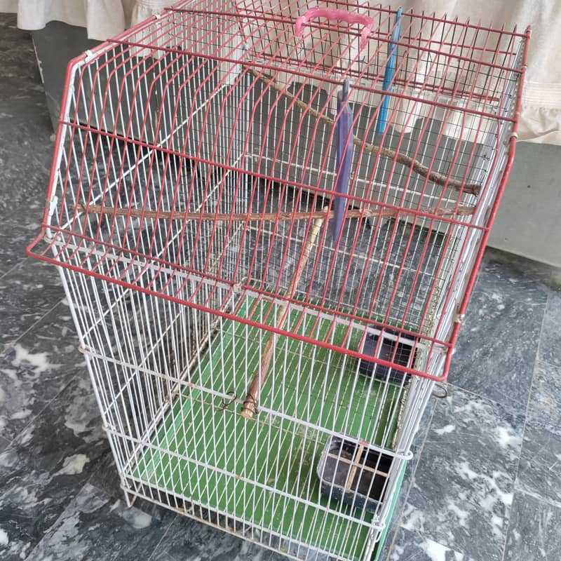 budgie k liye pinjra 23x18x14 1