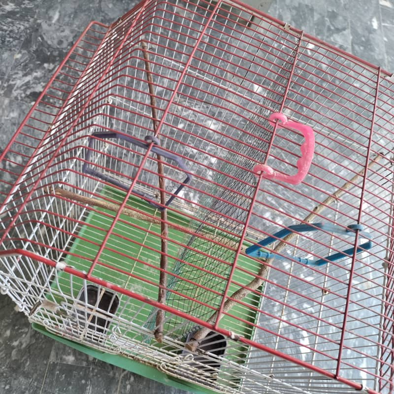 budgie k liye pinjra 23x18x14 4