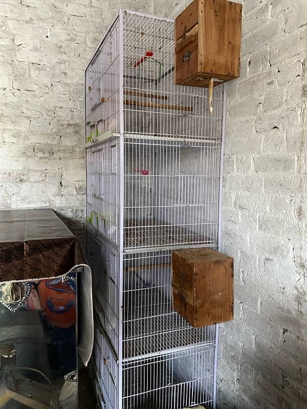 bird cage 1