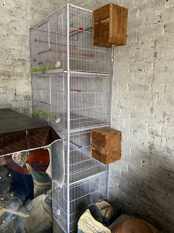 bird cage 2