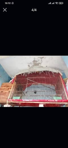 cage + breeding box for sale