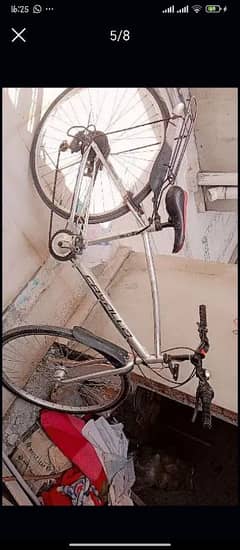 japani cycle hay