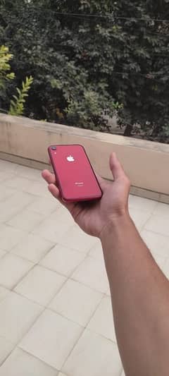 iphone xr 128gb nonpta waterpack