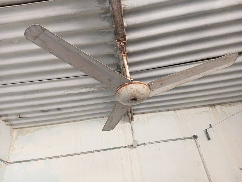 Ceiling Fan 56" AC 220v 2