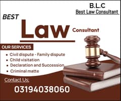 LAW Consultant - Child visitation - Criminal matter - Family dispute