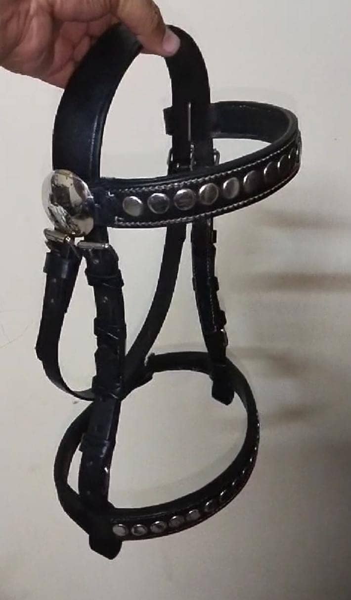 Genuine Leather Horse Ridding Saddle neza bazi 10