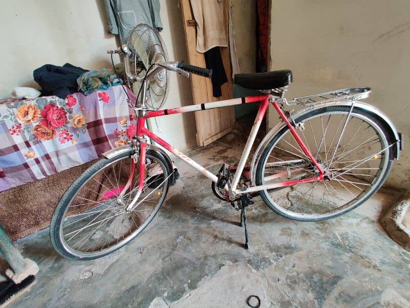 Decorated bicycle 2