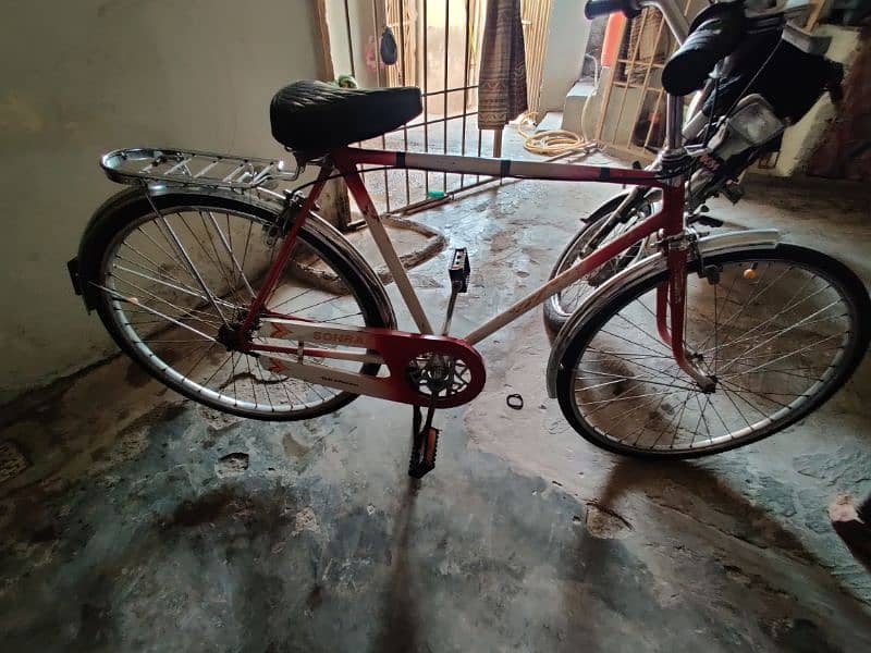 Decorated bicycle 3