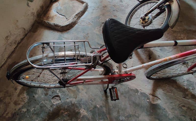 Decorated bicycle 4