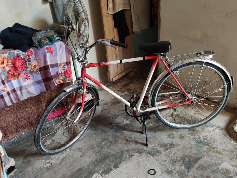 Decorated bicycle 5