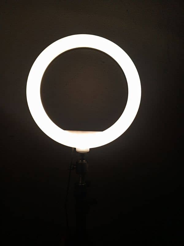 ringlight 1