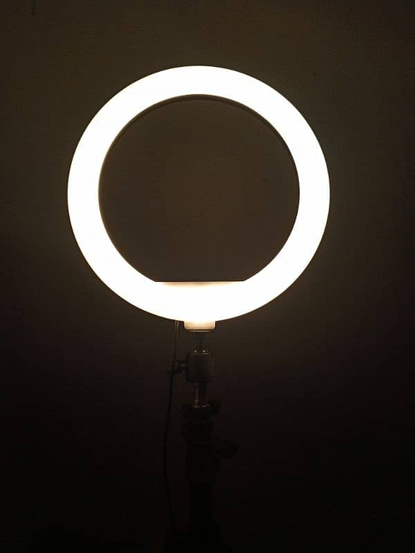 ringlight 2