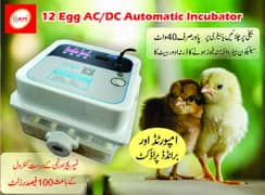 12 egg AC/DC automatic incubator