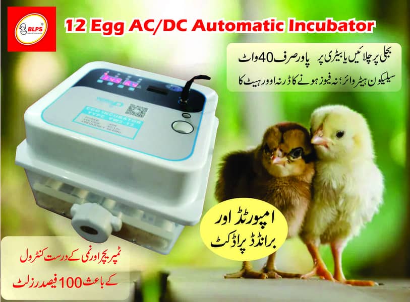 12 egg AC/DC automatic incubator 0