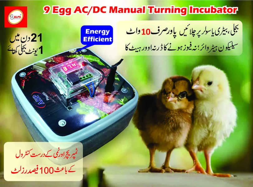 12 egg AC/DC automatic incubator 1