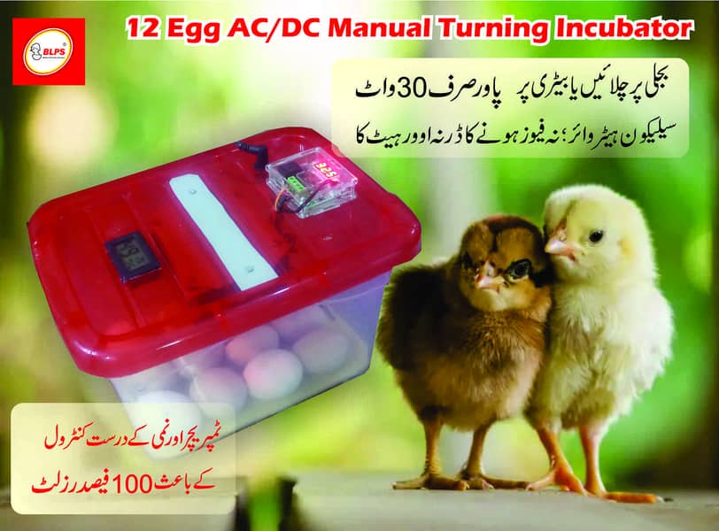 12 egg AC/DC automatic incubator 2