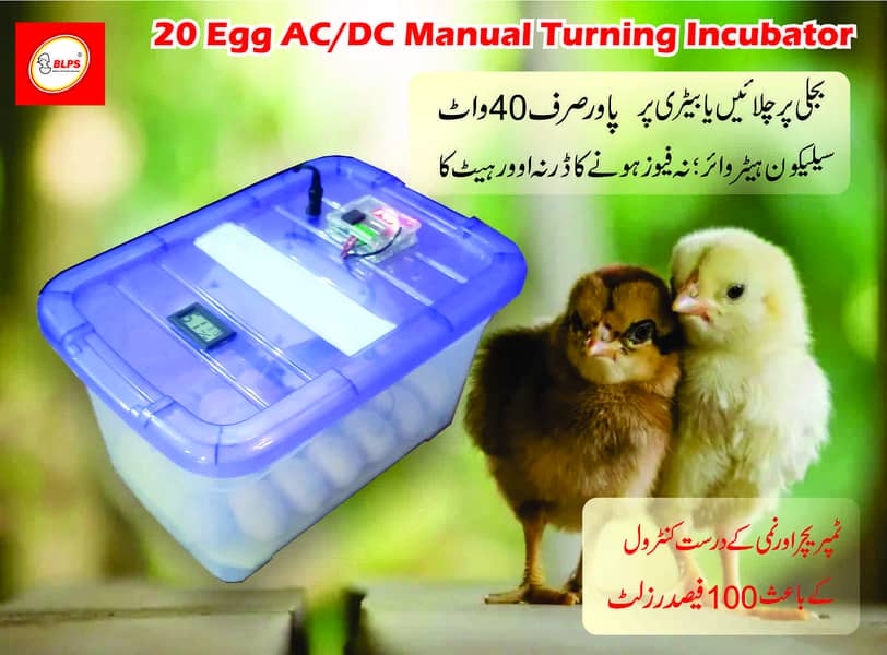 12 egg AC/DC automatic incubator 3