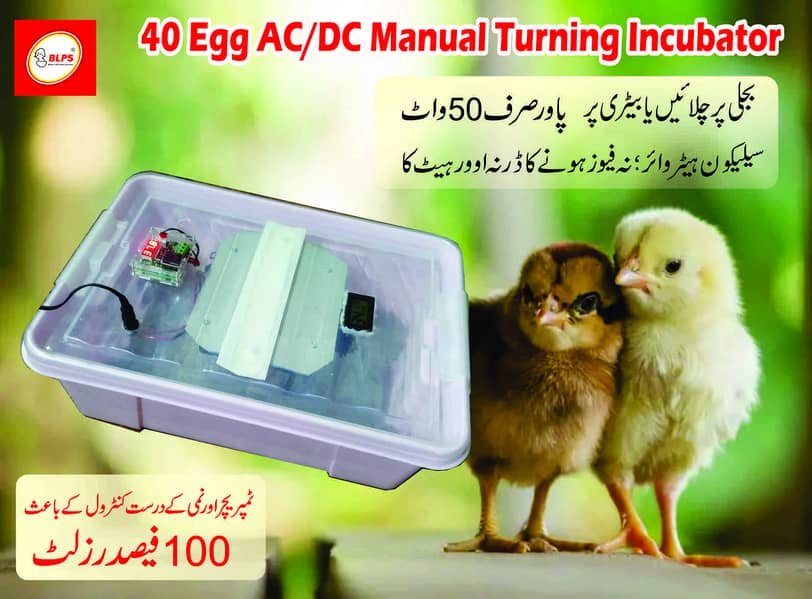 12 egg AC/DC automatic incubator 4