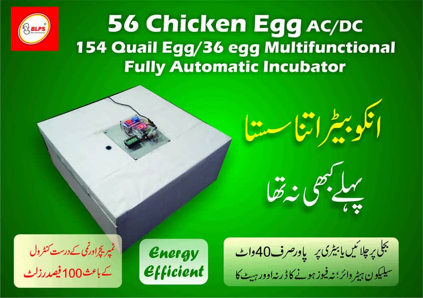 12 egg AC/DC automatic incubator 6