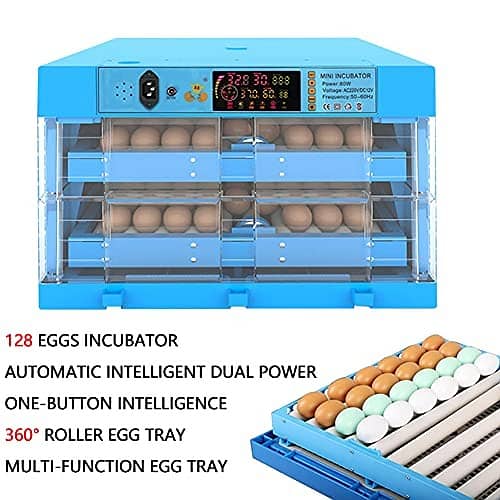 12 egg AC/DC automatic incubator 7