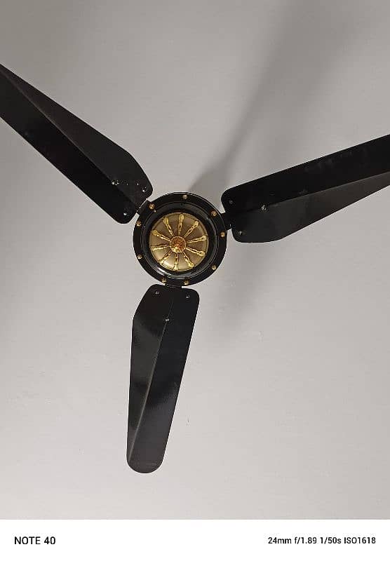 Fan For Sale 1