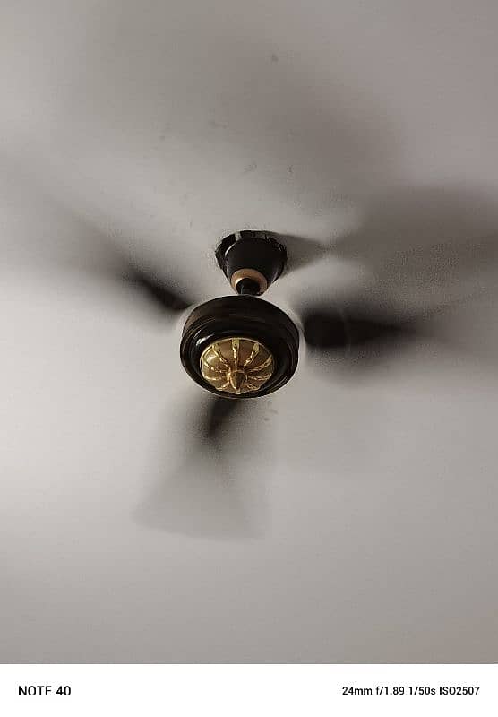 Fan For Sale 2