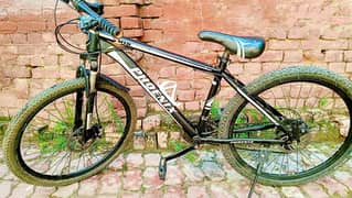 Phoenix bicycle with disc brake and gear on both weels