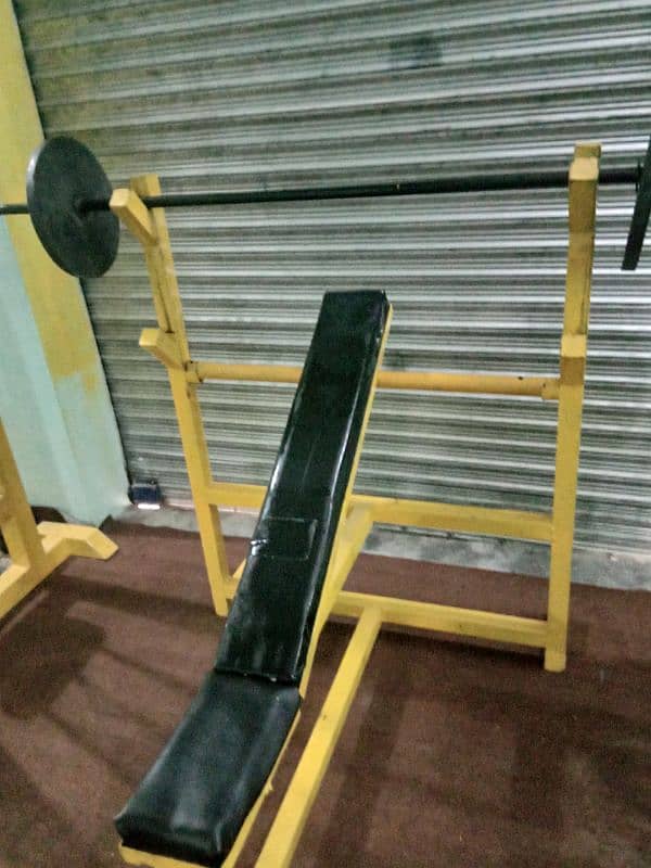 Complete gym setup for sale 2