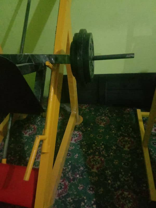 Complete gym setup for sale 11