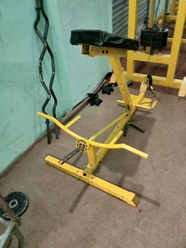 Complete gym setup for sale 13