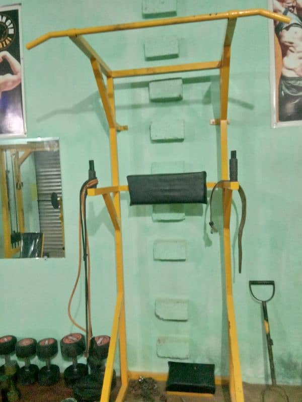 Complete gym setup for sale 15