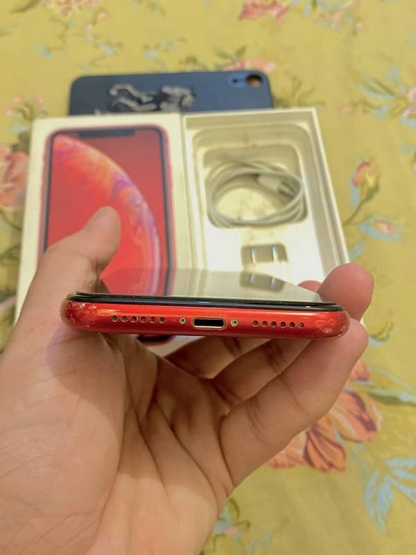 Iphone XR PTA approve 128GB 3